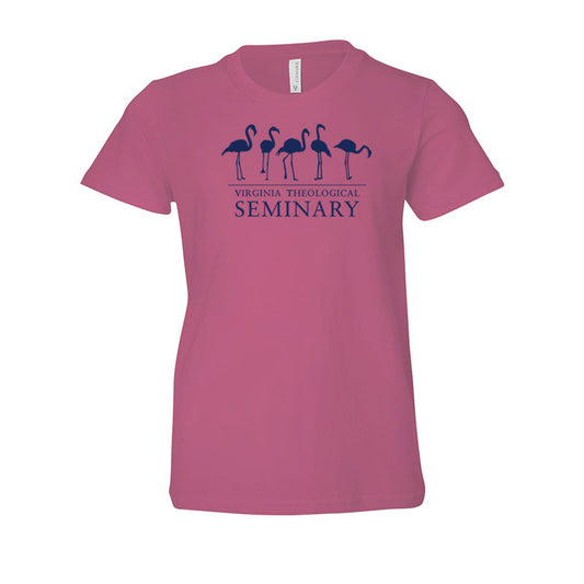 Virginia Theological Society Youth Flamingos Jersey Short Sleeve T-Shirt